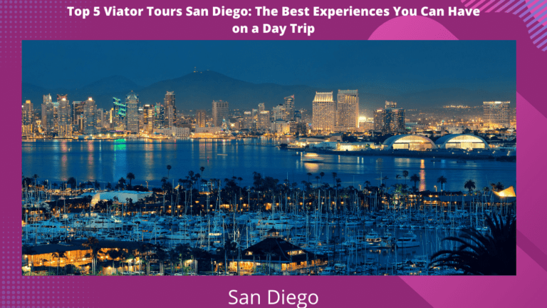 Top 5 Viva Tours San Diego: The Best Experiences You Can Have on a Day Trip