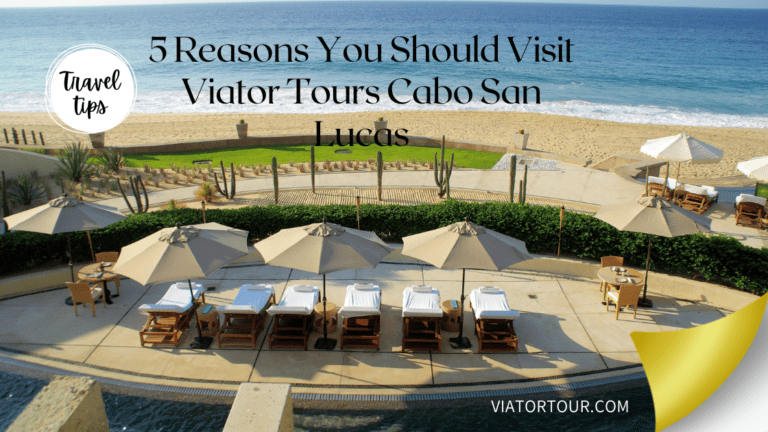 5 Reasons You Should Visit Viva Tours Cabo San Lucas