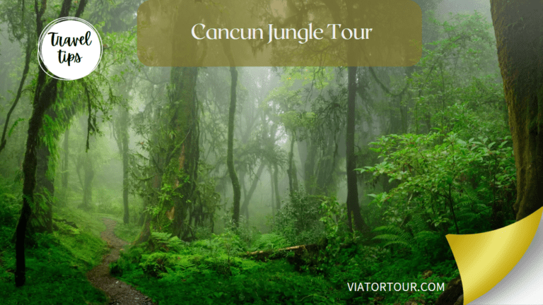 A Guide to Cancun’s Best Jungle Excursions: Cancun jungle tour