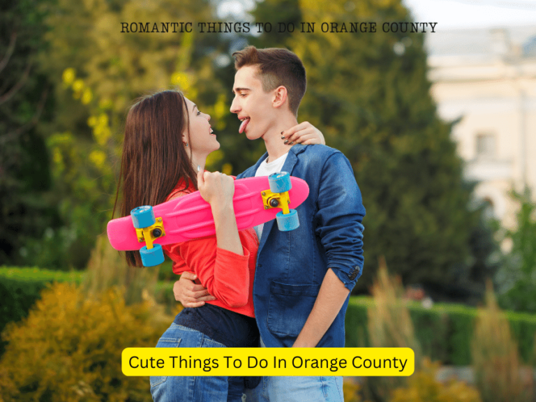 Cute Things to Do in Orange County: A Guide to Charm and Delight